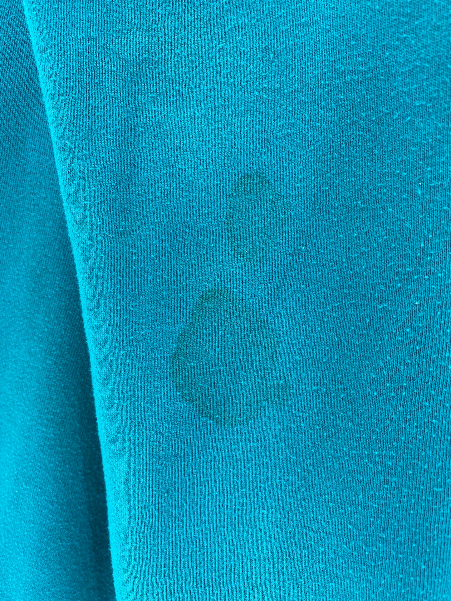 90’s STARTER x CHARLOTTE HORNETS Size XL Vintage NBA Sweat - Shirt/ K6065