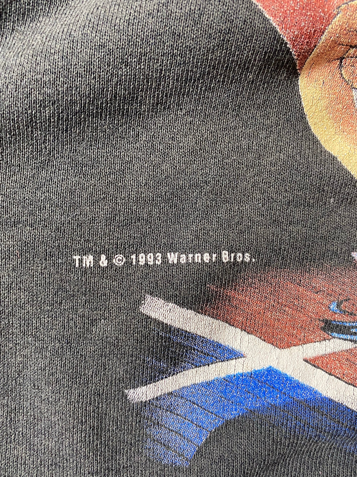 1993 ORLAND MAGIC x TAZ Size XL Vintage NBA Sweat-shirt / K7094