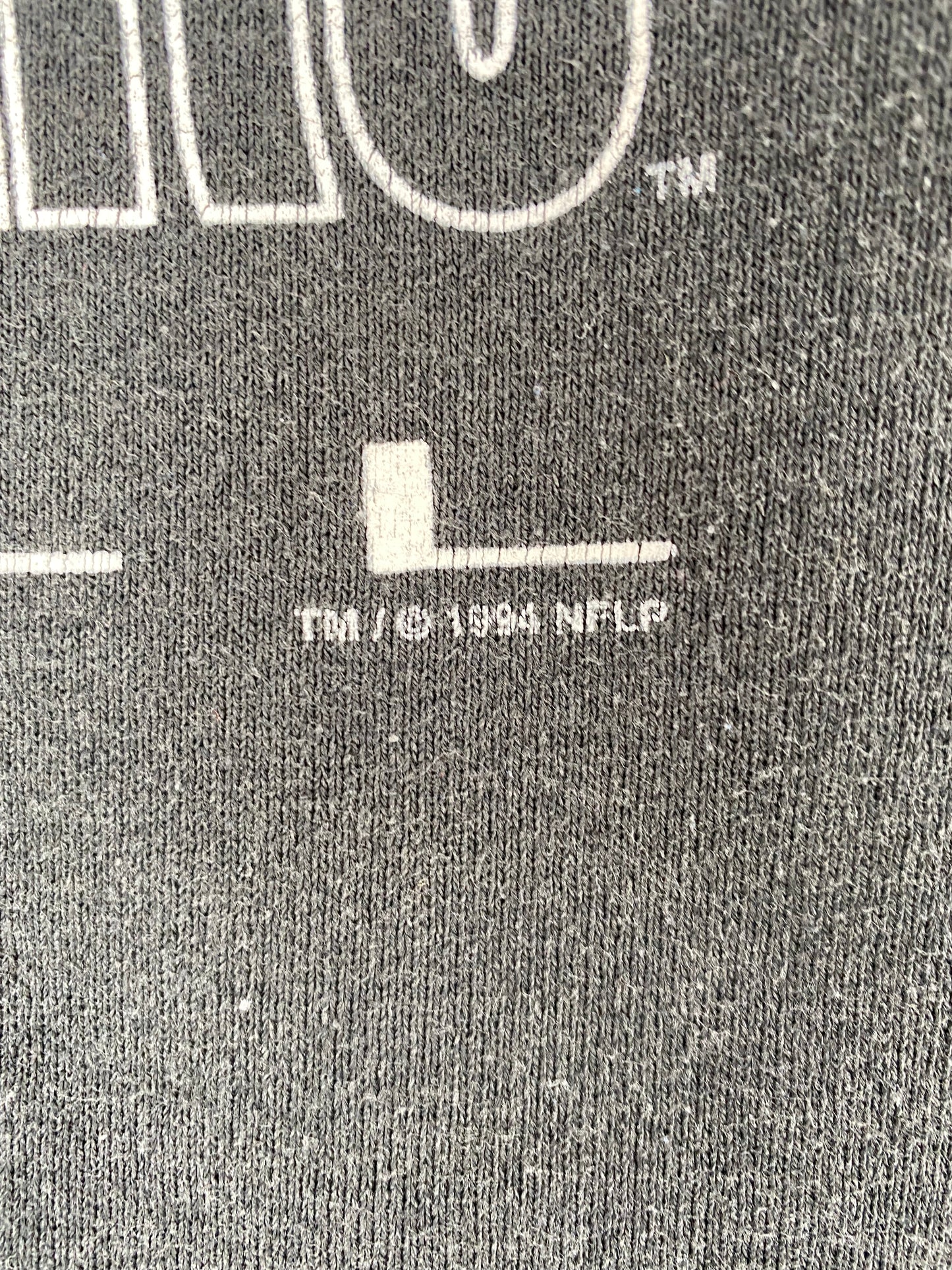 1994 CAROLINA PANTHERS Size No Tag (Approx.L) Vintage NFL Sweat-Shirts/ A217