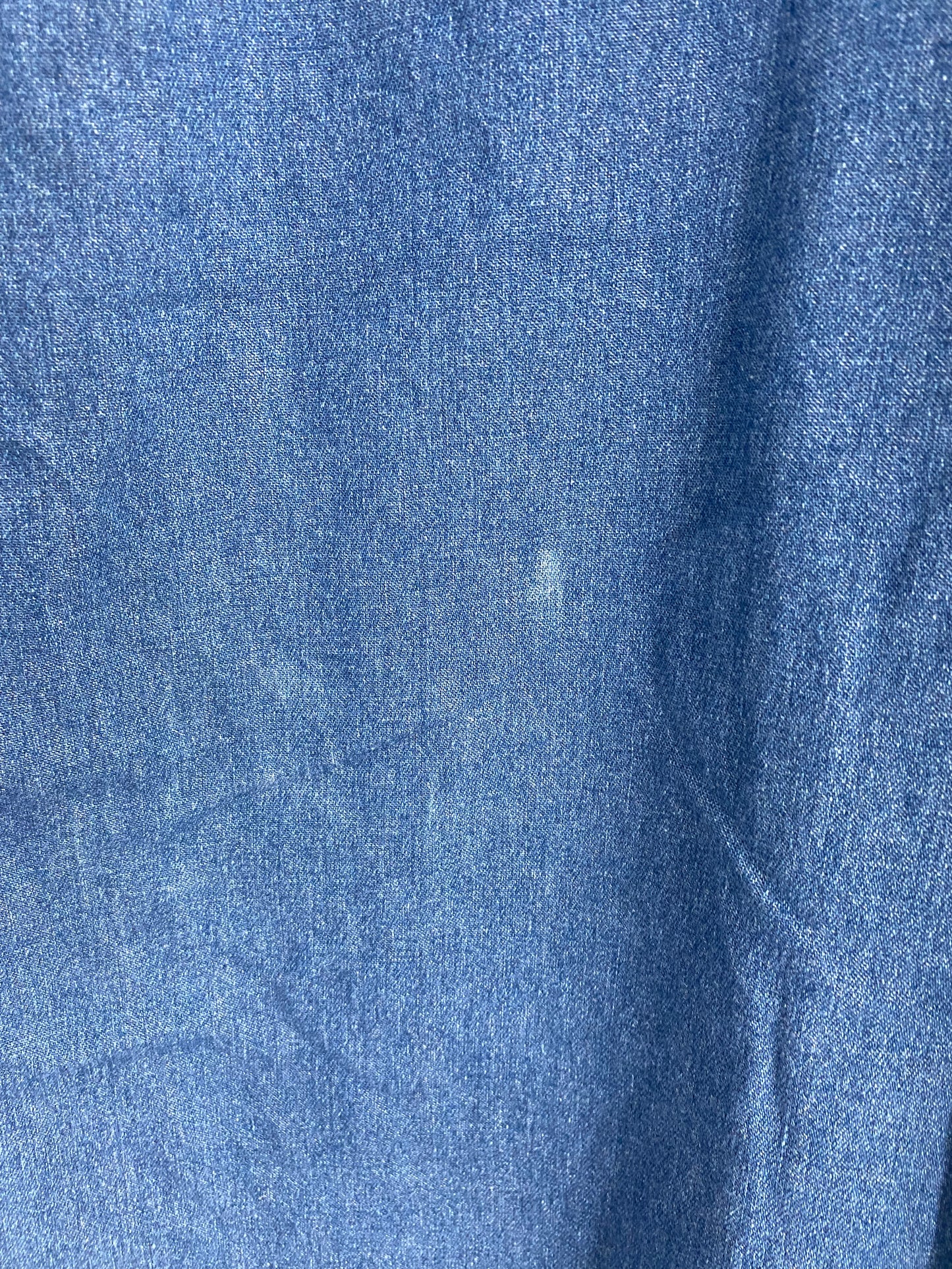 00' WINNIE THE POOH Size L Vintage Button Down Denim Shirt / K9935