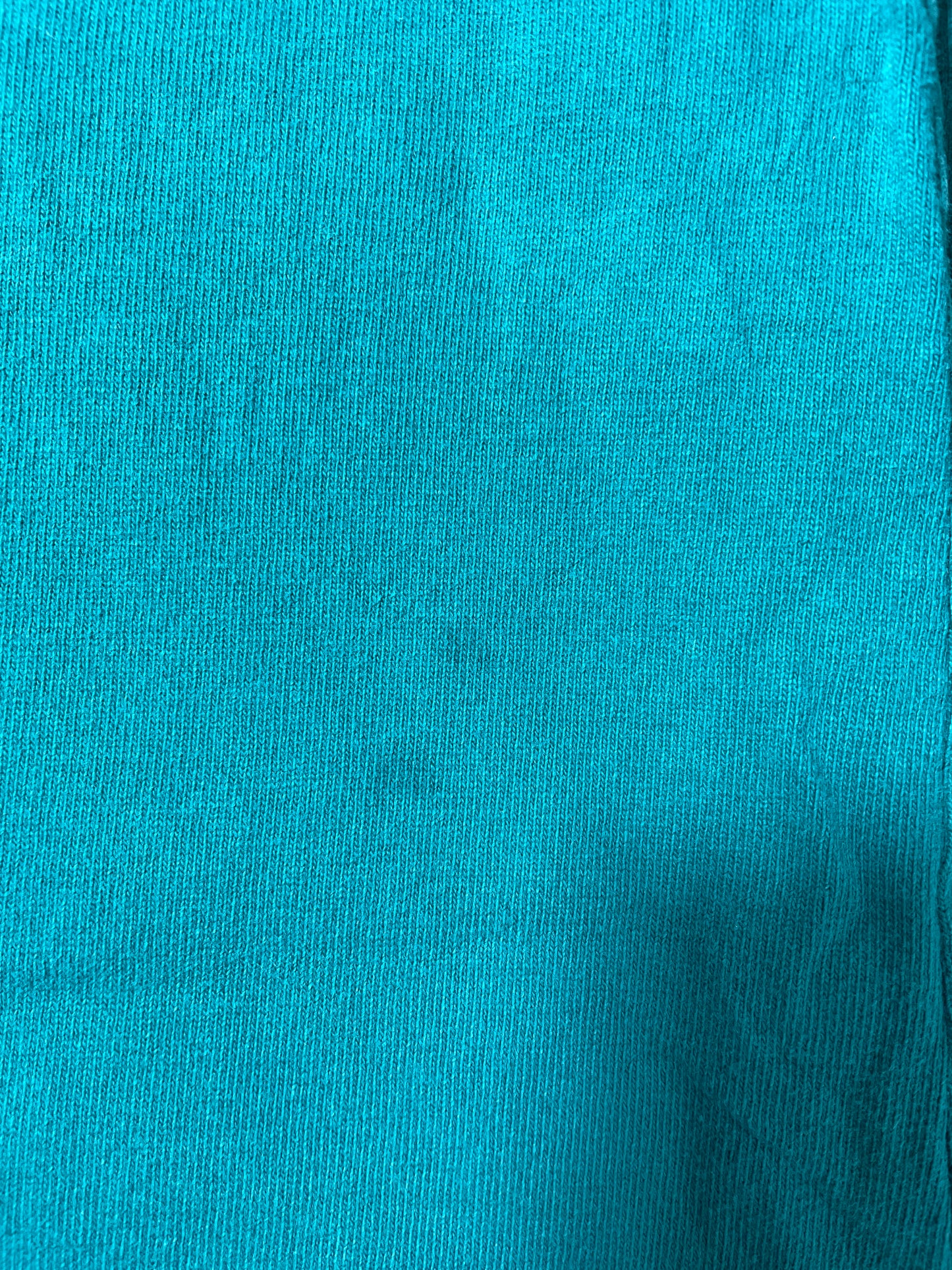 1992 NFL DOLPHINS TAZ Made in USA Size XL Vintage NFL Long Sleeve Hoodie T- Shirt/ K3062