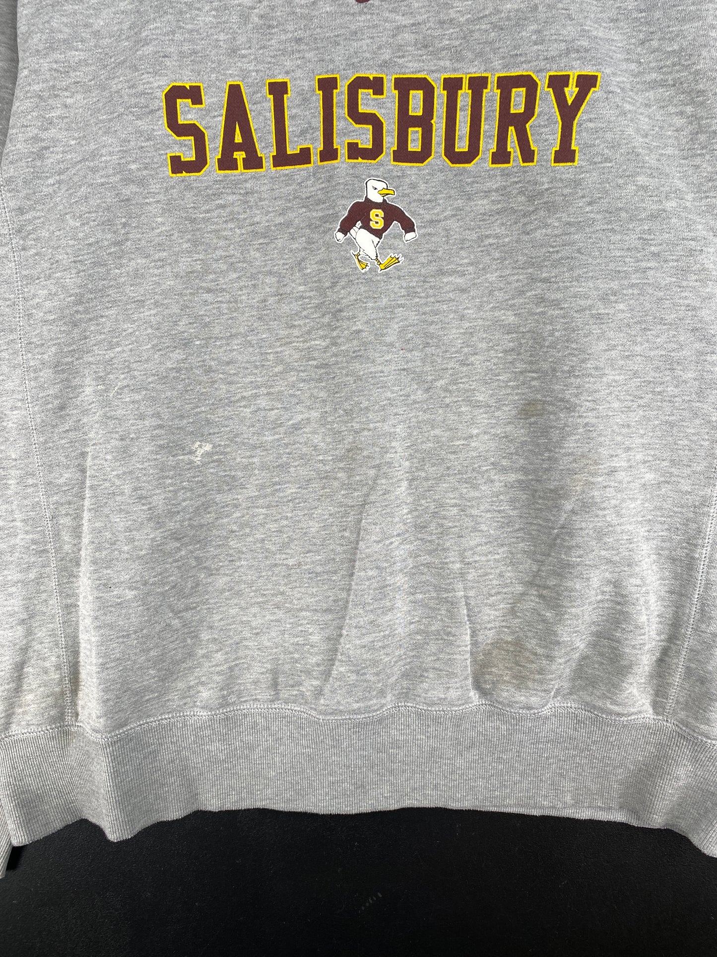 Vintage NIKE x SALISBURY Size XL College Sweat-shirt / E2553S