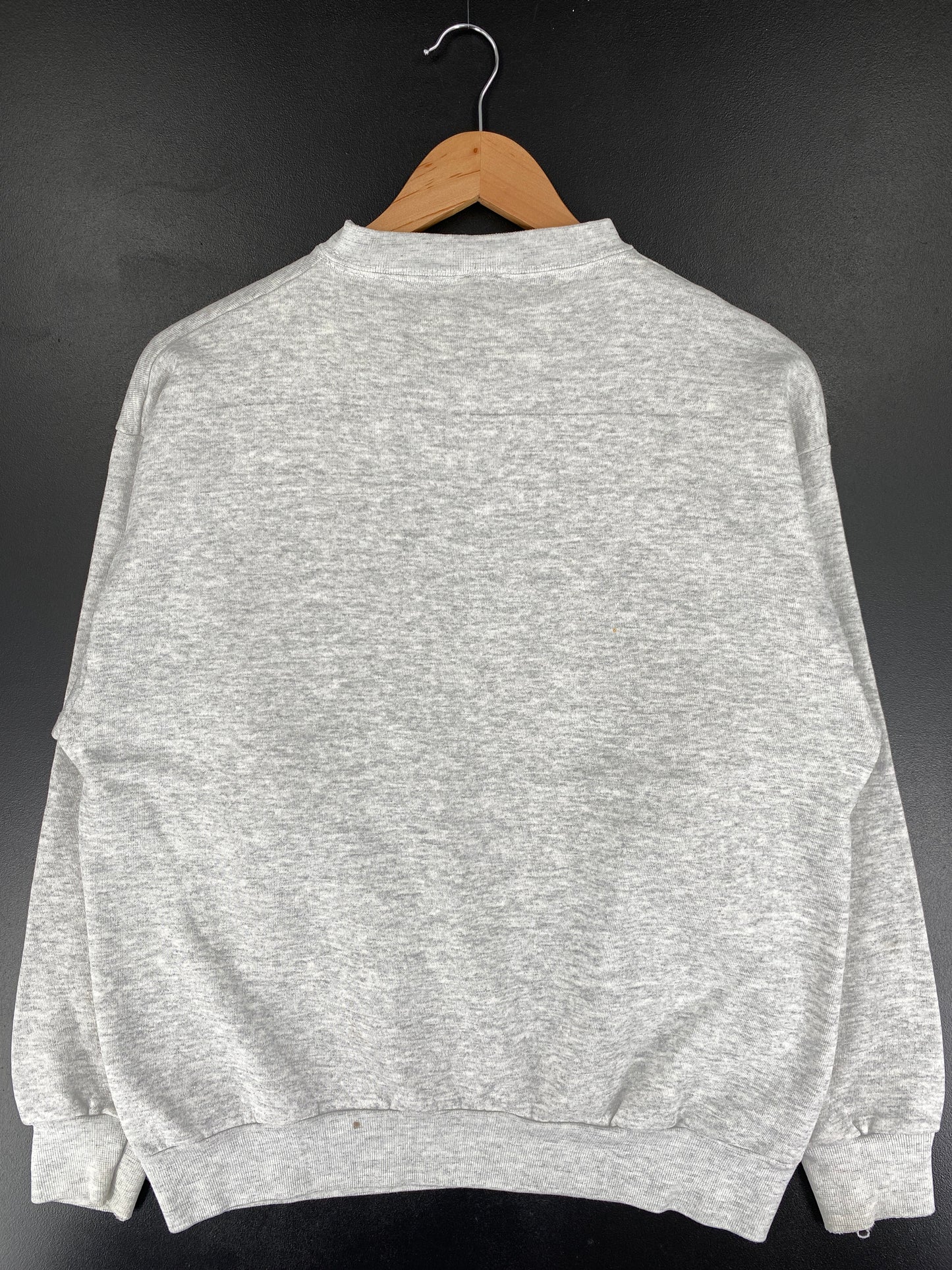 1994 DETROIT LIONS x LOONEY TUNES TAZ Size L Vintage NFL Sweat-Shirt / E5987S