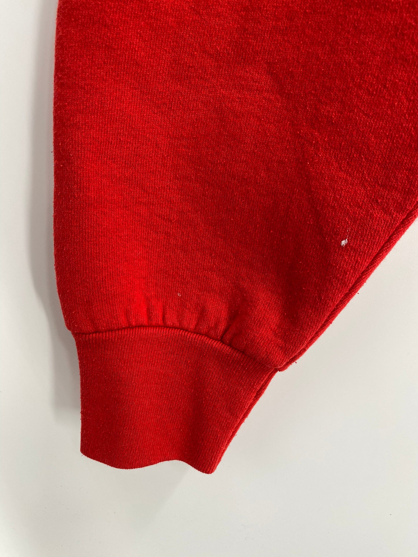 1995 SALEM x SAN FRANCISCO 49ERS Made in USA Size L NFL Sweat-Shirt / E481