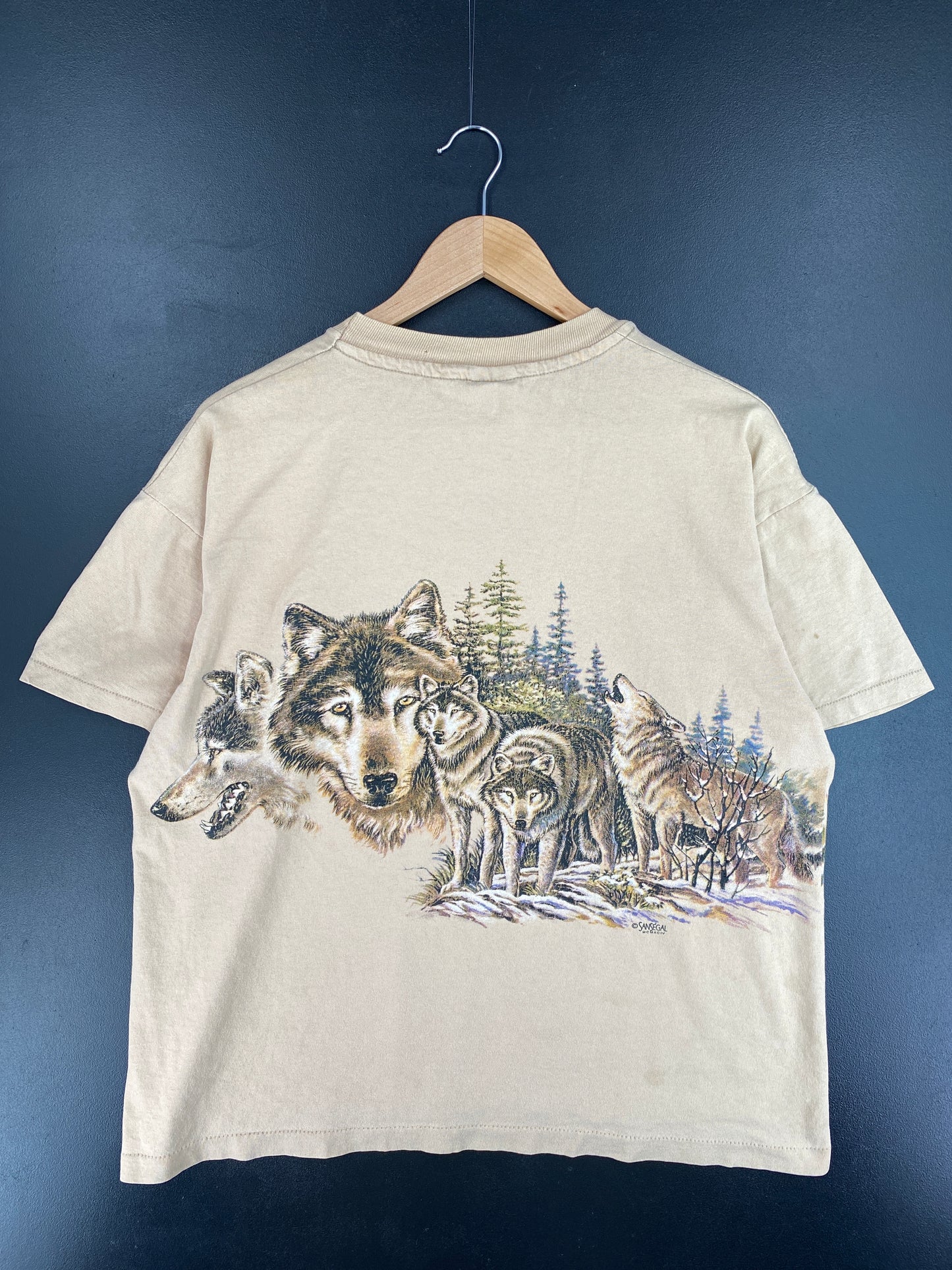 90’s COLORADO Made in USA Size L Vintage Animal T-Shirts / E4854T