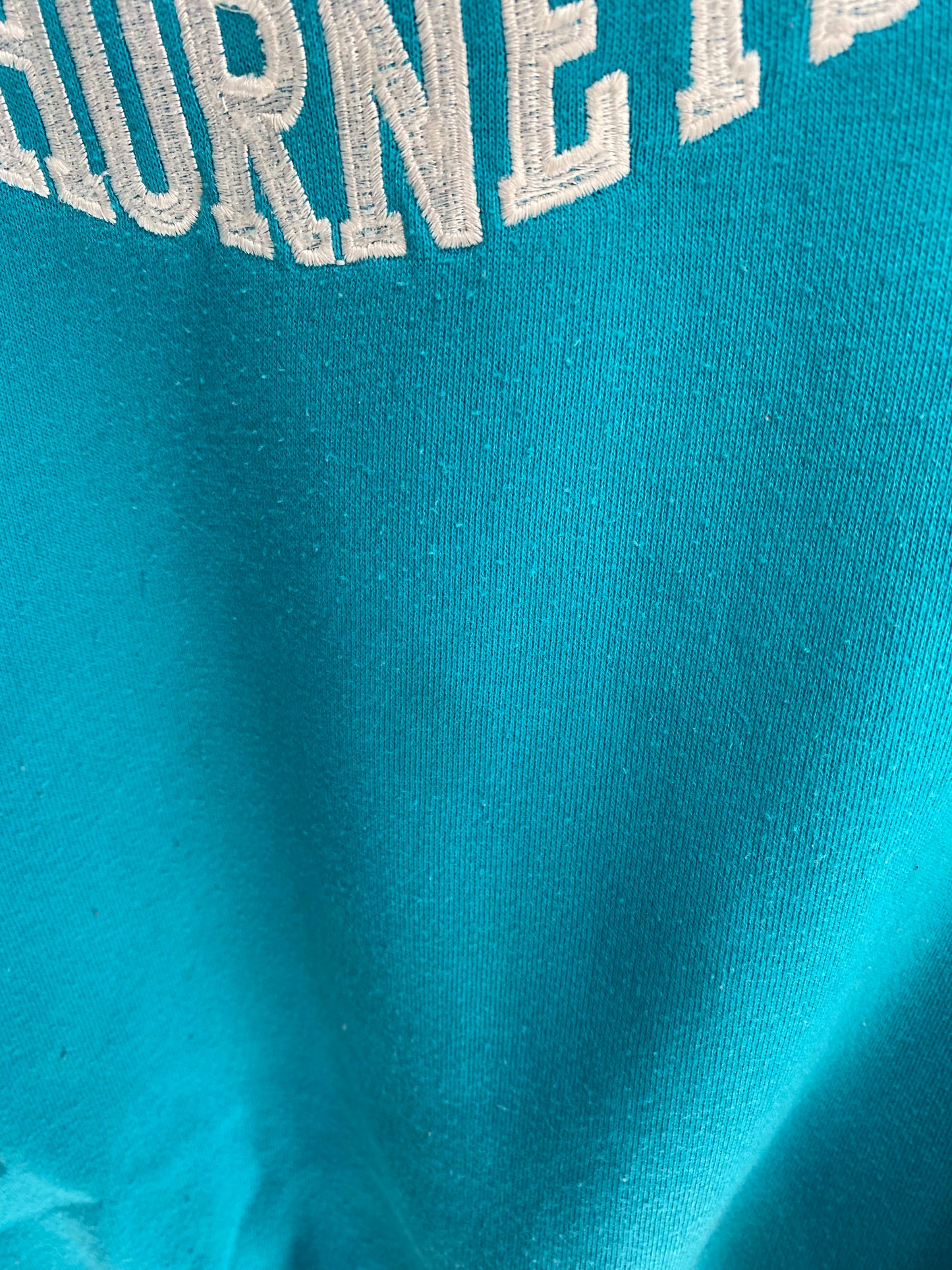 90’s STARTER x CHARLOTTE HORNET Size XL Vintage NBA Sweat shirt / K4879