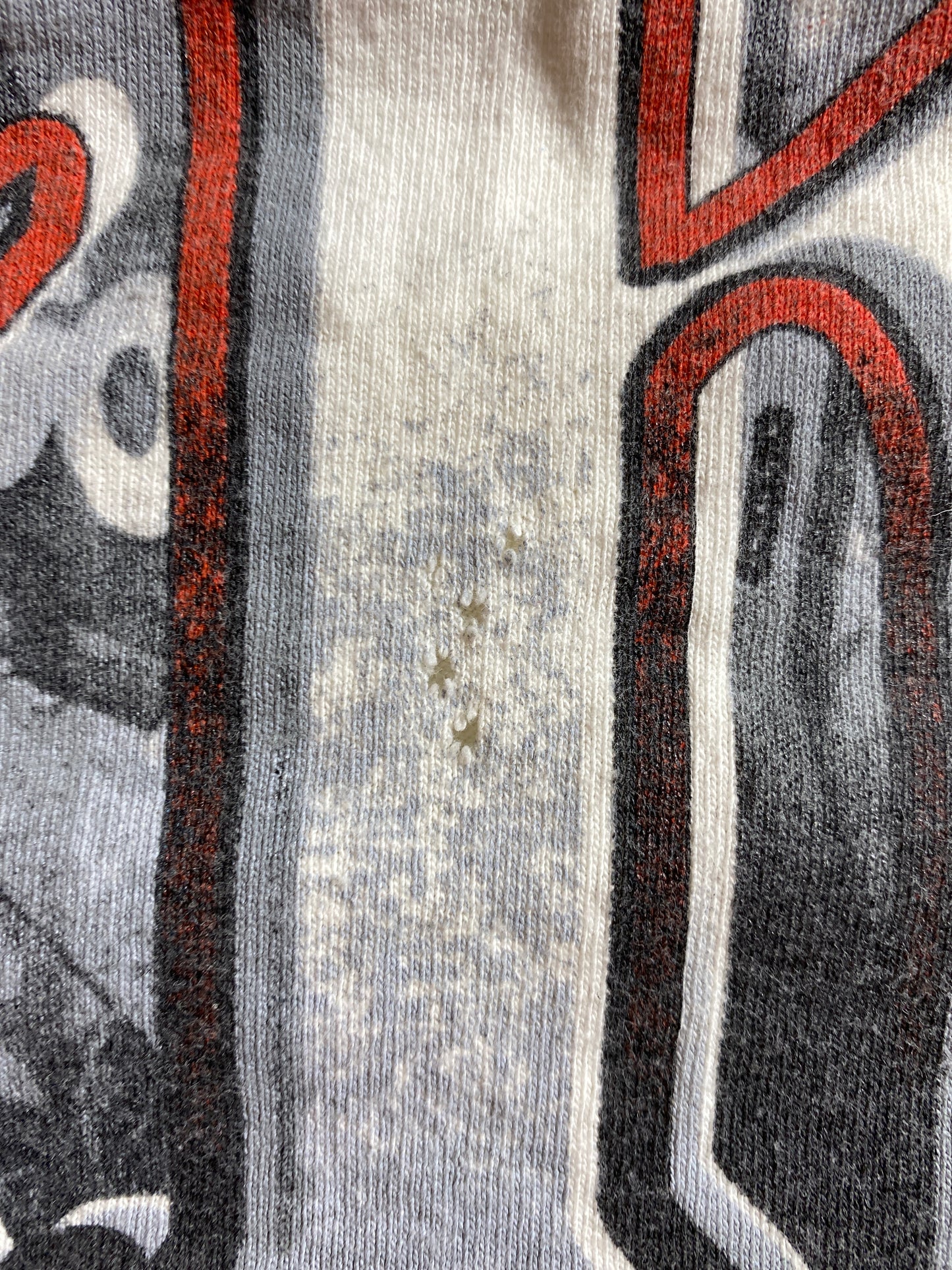 00’ DALE EARNHARDT Size XL Vintage Racing T-Shirt / K1957