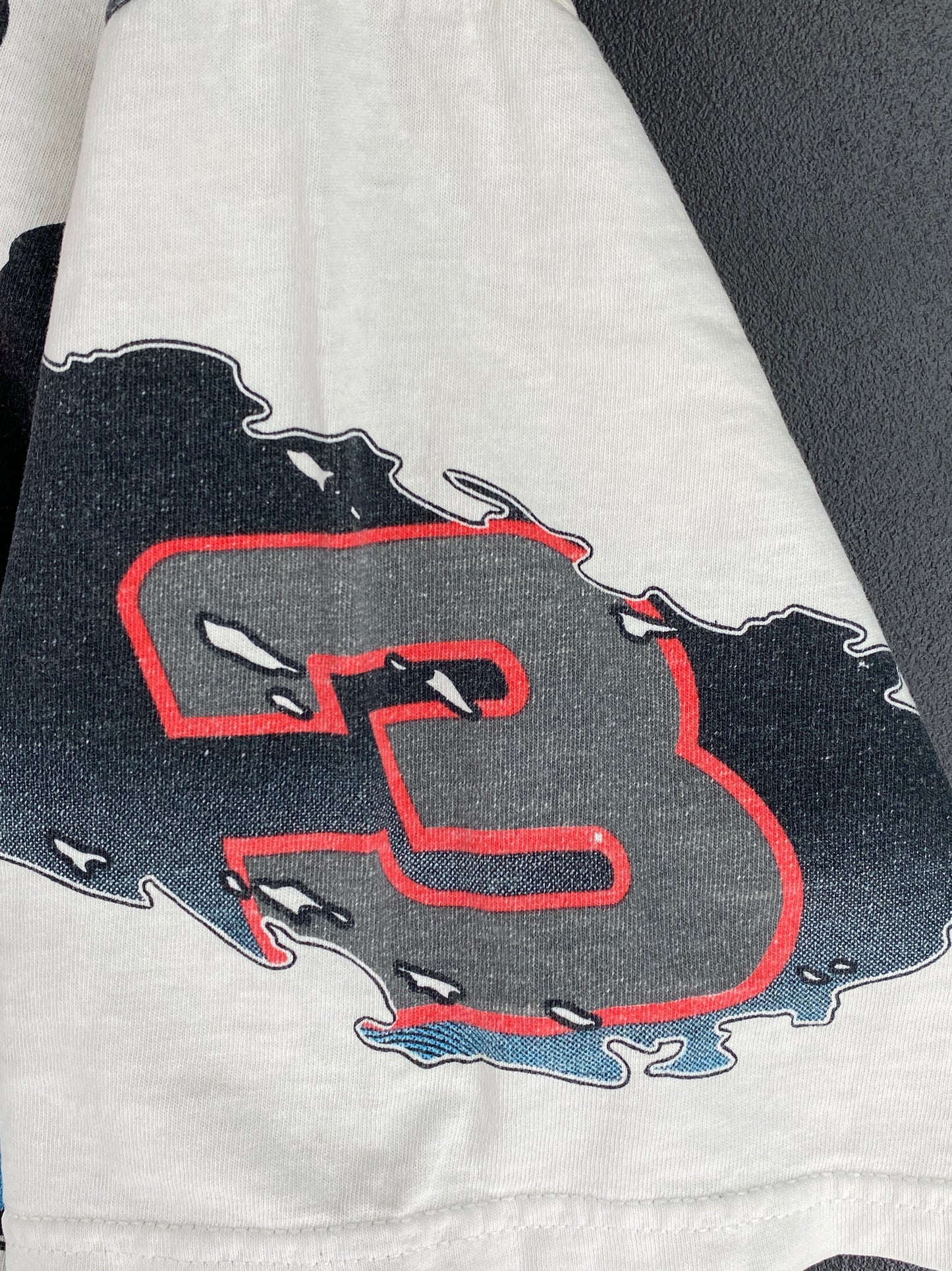 90’s DALE EARNHARDT Made in USA Size XL Racing T-Shirt / A3758