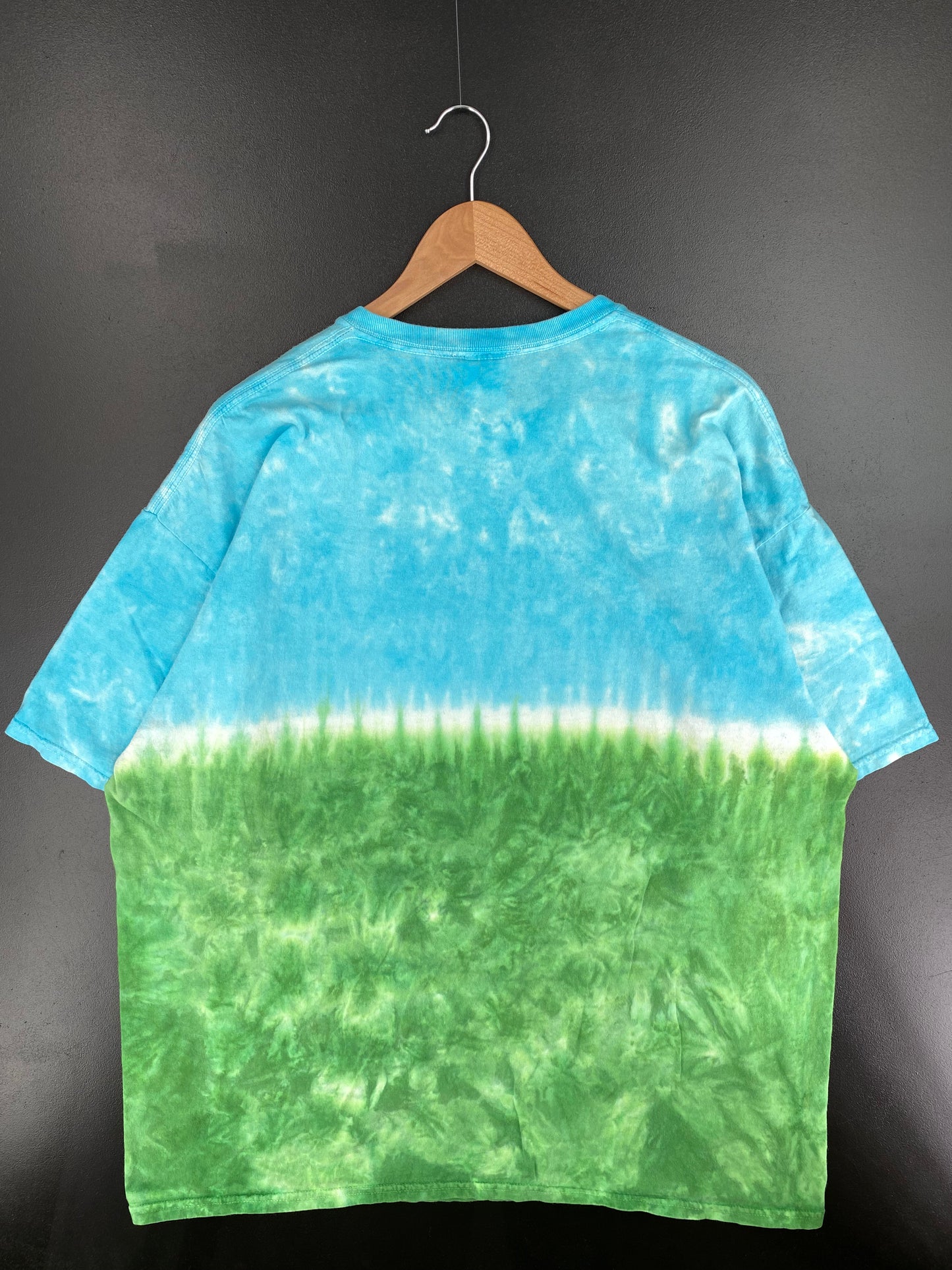 00' DISNEY ANIMAL KINGDOM Size XXL Vintage T-shirt / A852