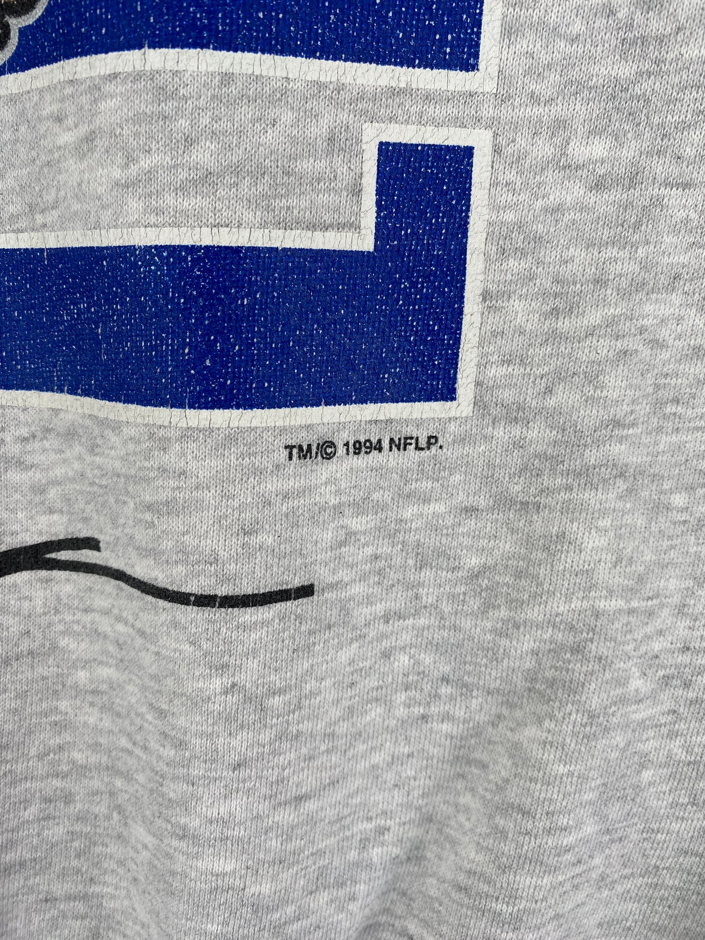 1994 DETROIT LIONS x LOONEY TUNES TAZ Size L Vintage NFL Sweat-Shirt / E5987S