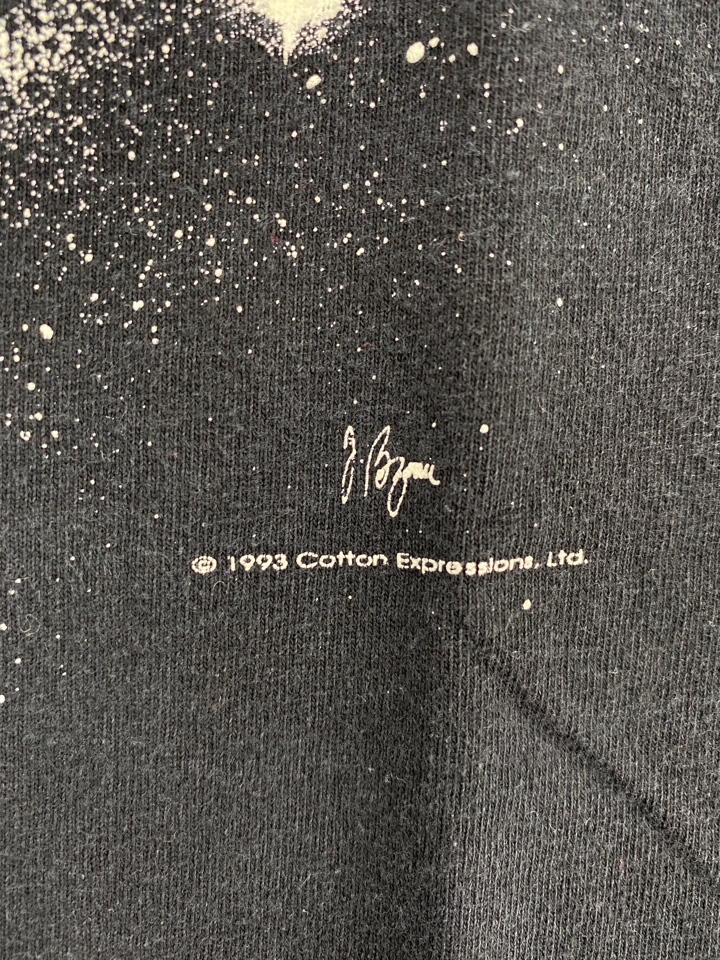 1993 ALBERT EINSTEIN Made in USA Size XL Vintage T-Shirt / A4615