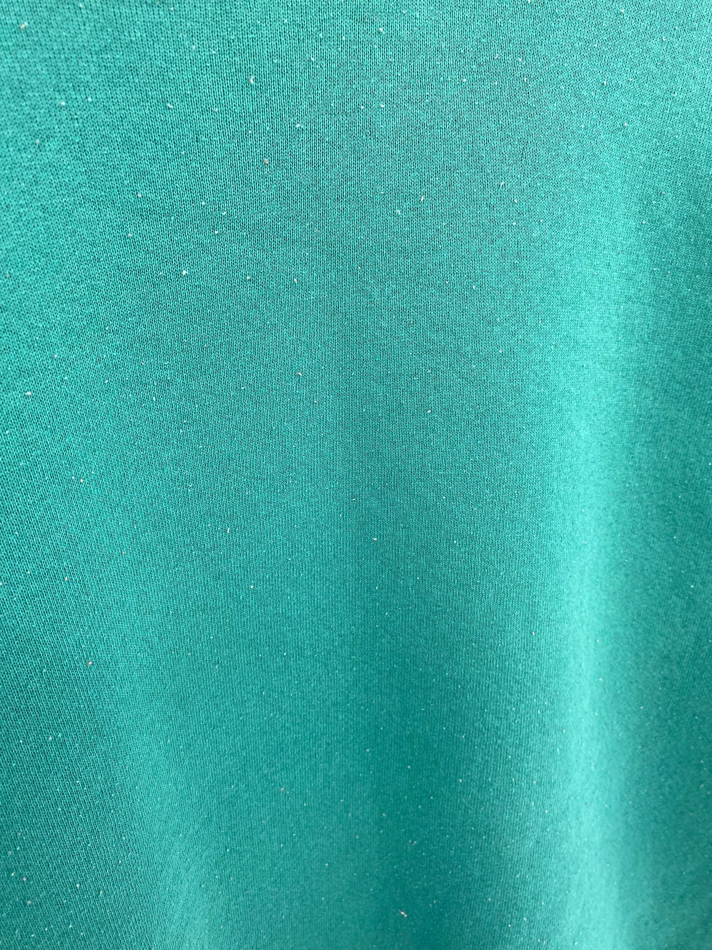 1993 MIAMI DOLPHINS x TAZ Size Made in USA M Vintage NFL Sweat-shirt / K7092