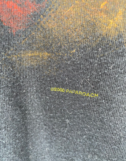 2000 PAPA ROACH Size XL Vintage Music T-shirts / F1441T