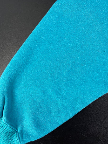 90’s CHARLOTTE HORNETS Size XL College Sweat-shirt / F4081S