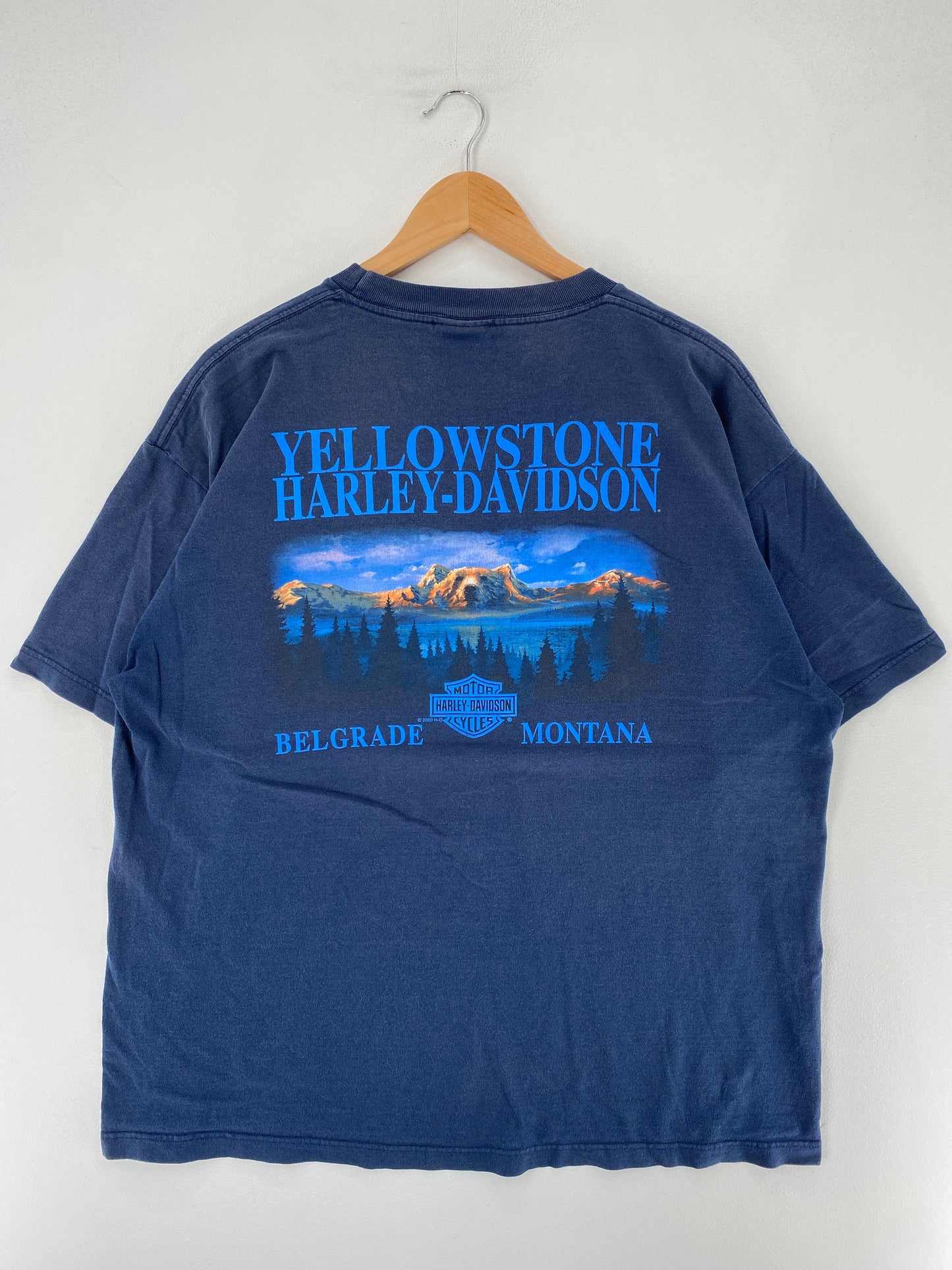 2000 HARLEY DAVIDSON Size XL Vintage T-Shirt / F3181T