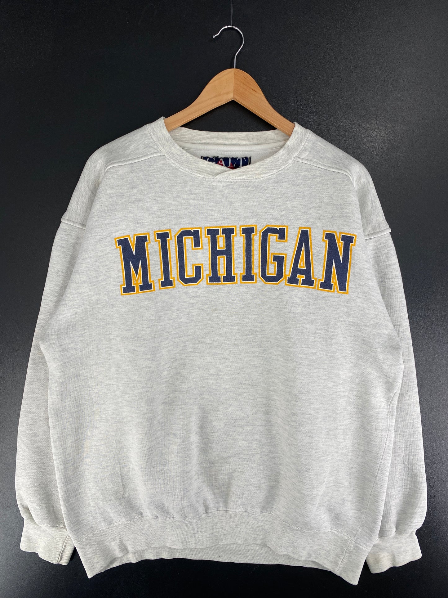 90’s MICHIGAN Size L College Sweat-Shirt / F5010S
