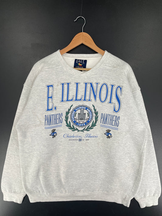 Vintage ILLINOIS PANTHERS Size L College Sweat-shirt / F2439S
