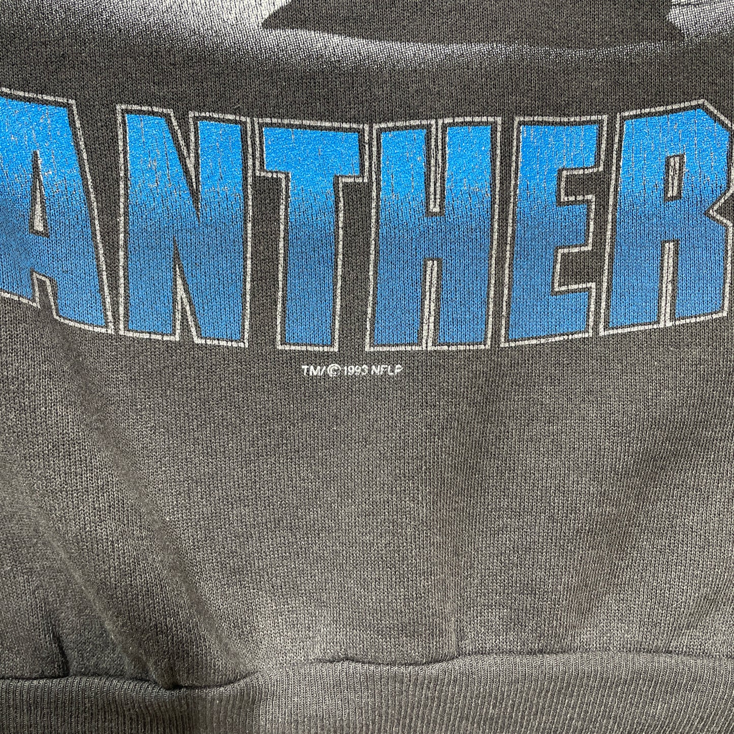 (XL) 1993 STARTER x CAROLINA PANTHERS Vintage NFL Sweatshirt / A1374S