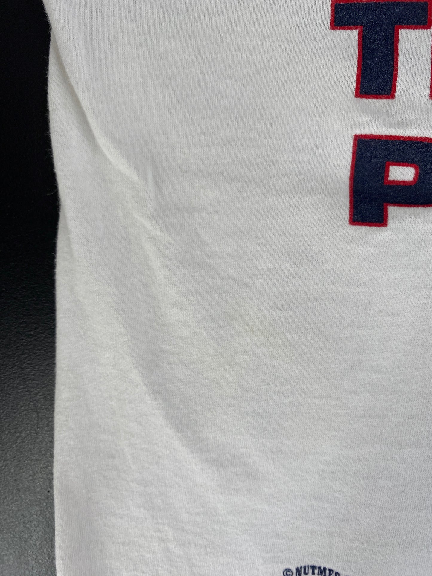 1995 CLEVELAND GUARDANS Made in USA Size L Vintage MLB T-shirt / G3298T