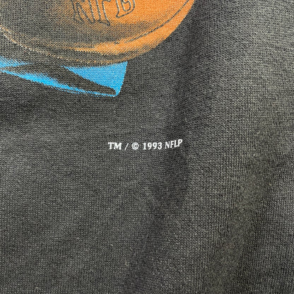 (XL) 1993 CAROLINA PANTHERS Vintage NFL Sweatshirt / A1009S