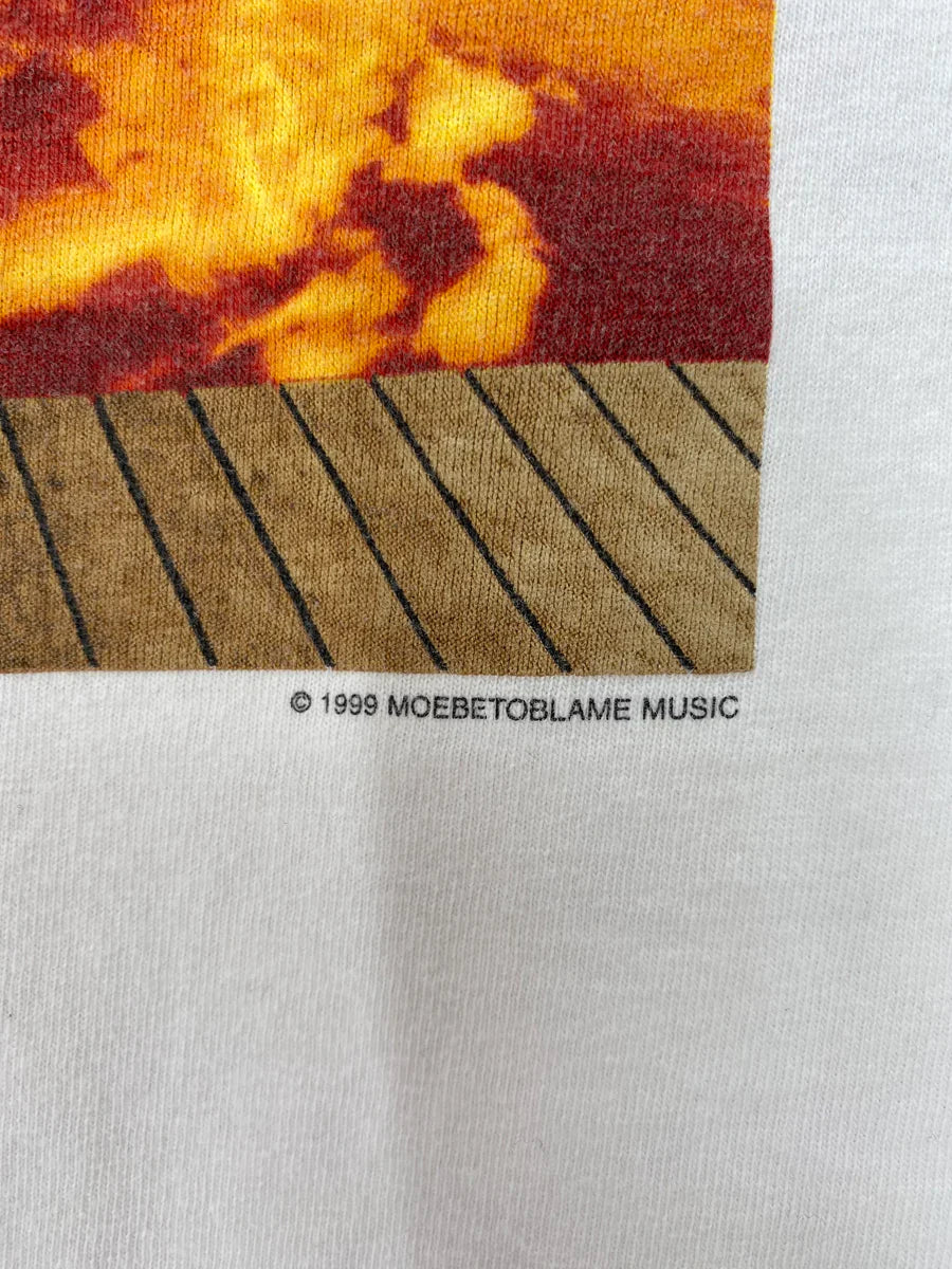 1999 RED HOT CHILI PEPPERS Size XL Vintage Music T-shirts / F968T