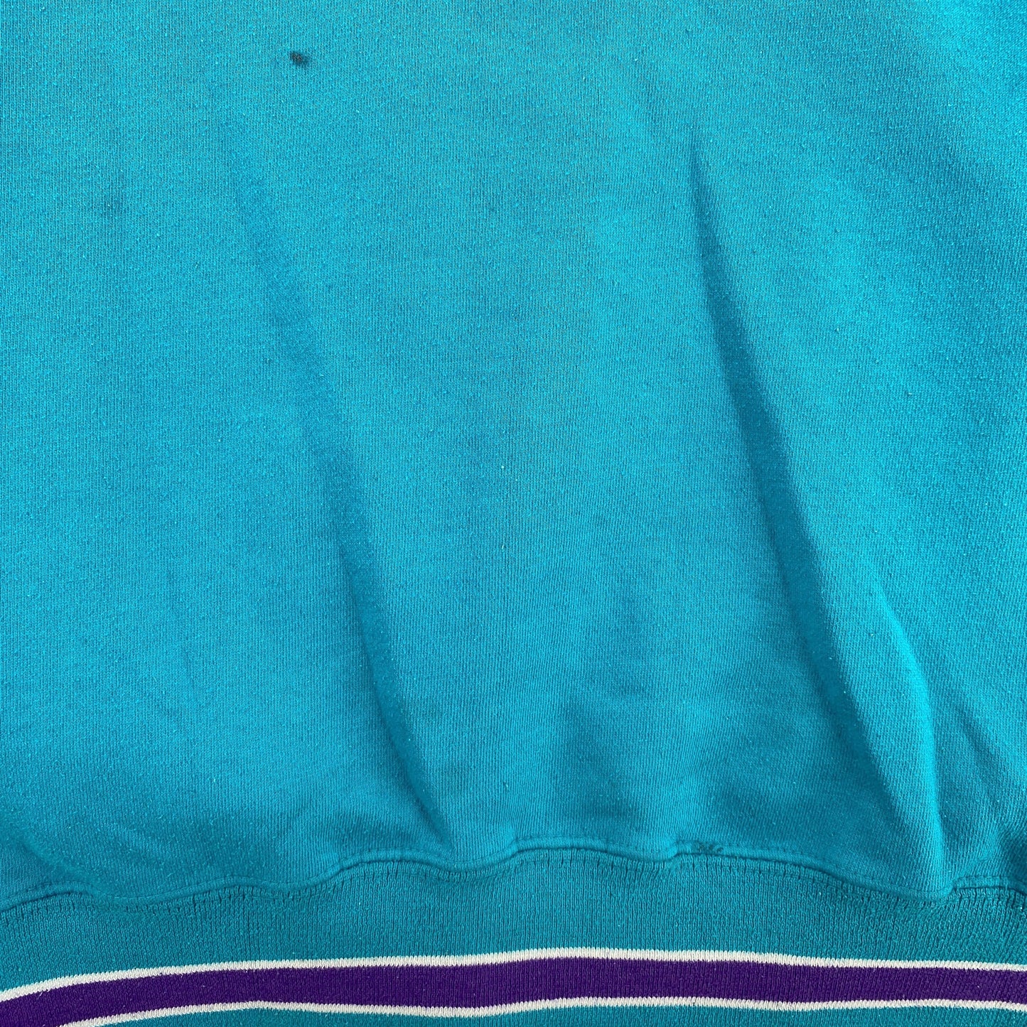 (Approx.L) 90's STARTER x CHARLOTTE HORNETS Vintage NBA Hoodie Sweatshirt / A1075S