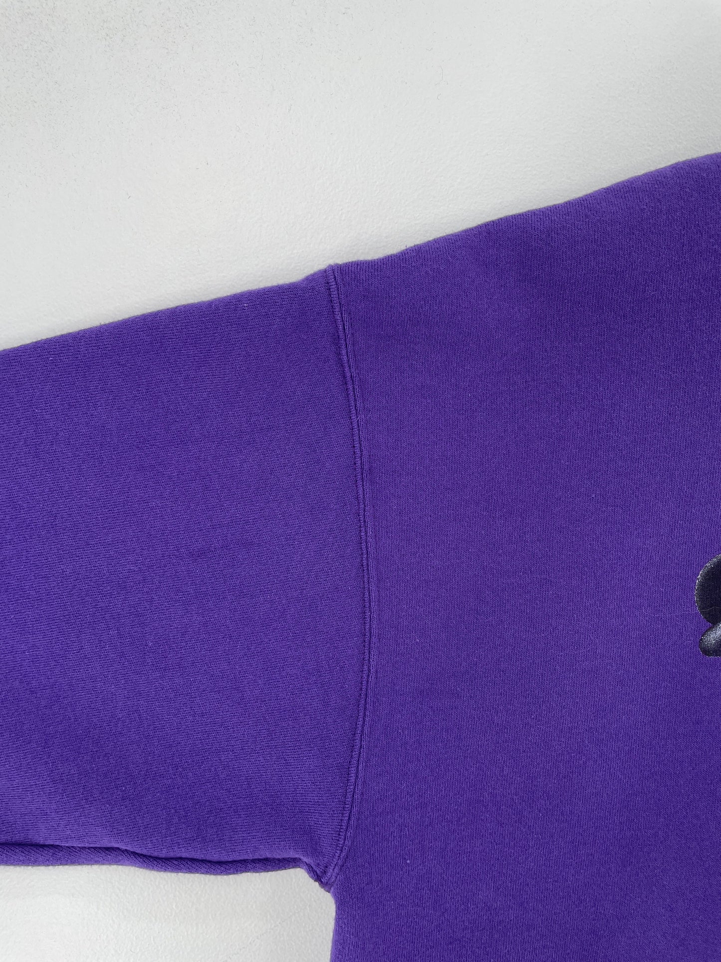 00’ WALT DISNEY WORLD Size XXL Sweat-Shirt / G6411S