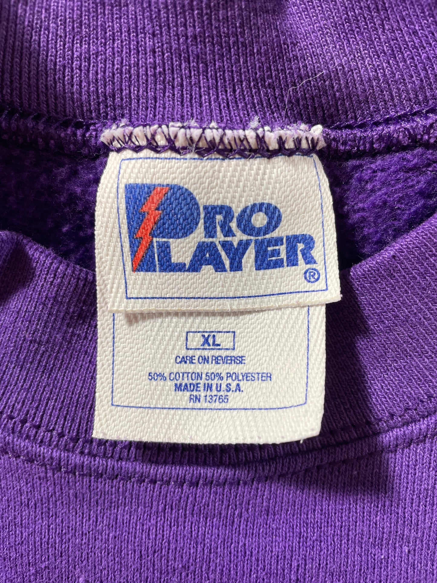 90's CHARLOTTE HORNETS Size XL Vintage NBA Sweat-Shirt / F5109S