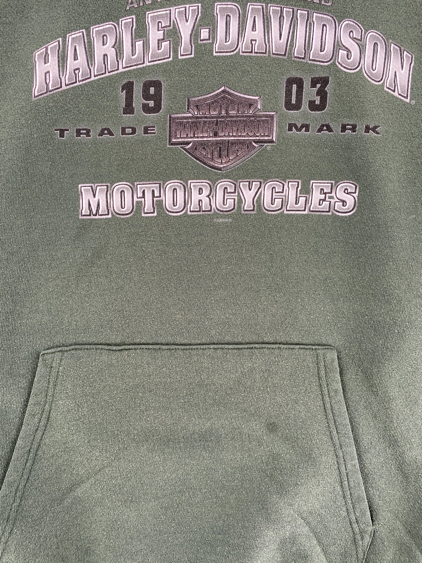 2006 HARLEY DAVIDSON Size Approx.L Vintage Hoodie Sweat-shirt / F3963S