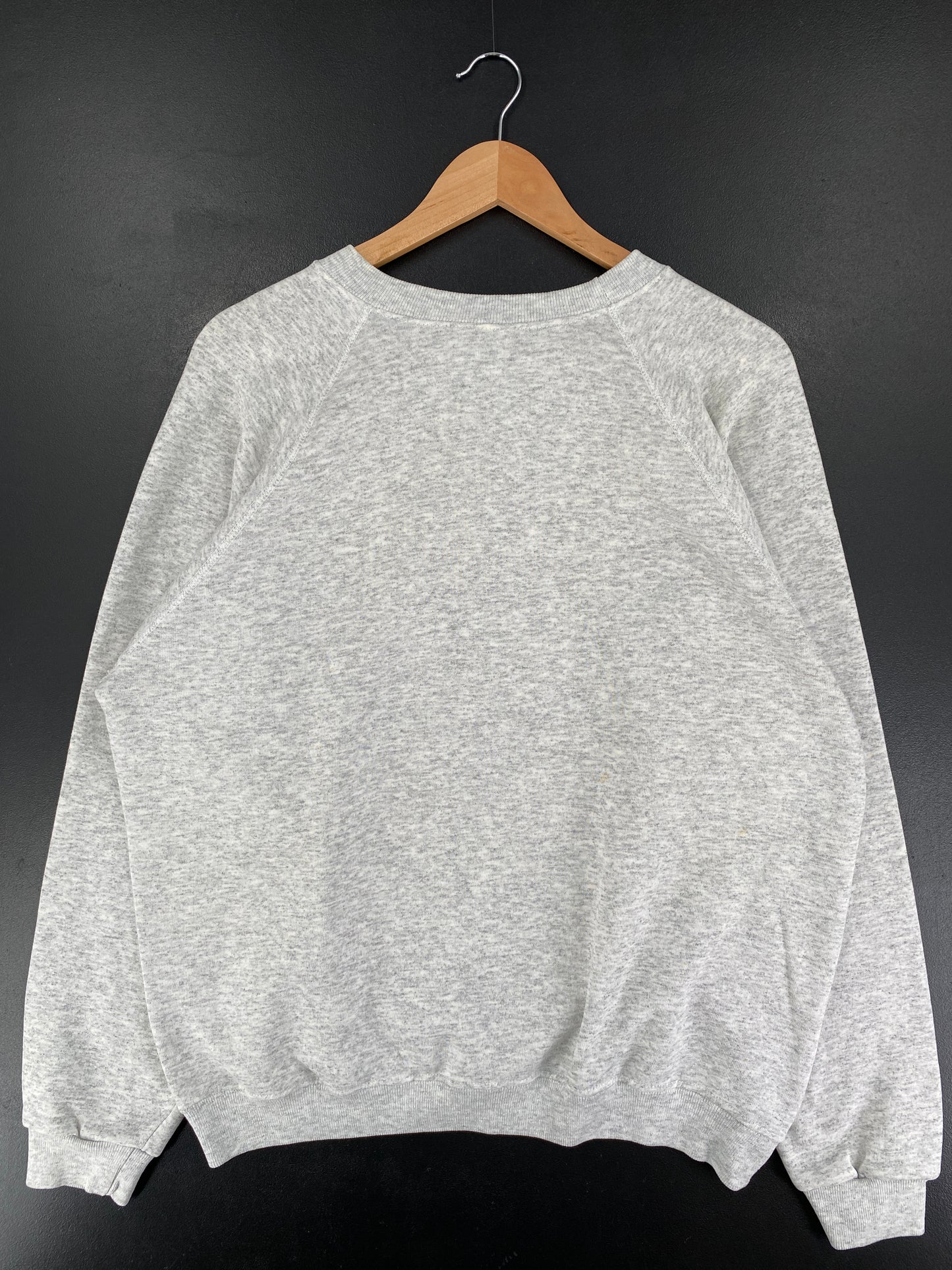 90's WHATSAMATTA Made in USA Size XL NFL College Sweat-Shirt / F1161S