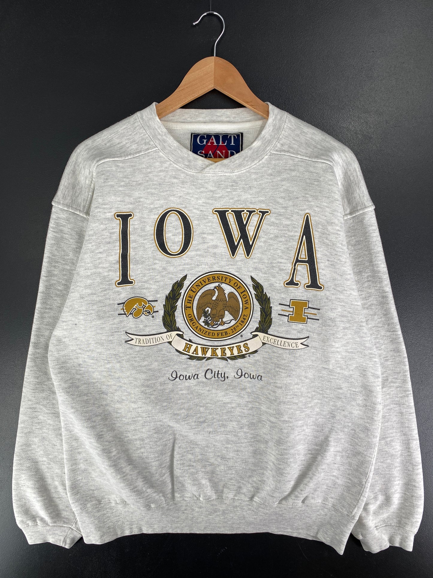 90's IOWA HAWKEYES Size M Vintage College Sweat-Shirt / F6359S