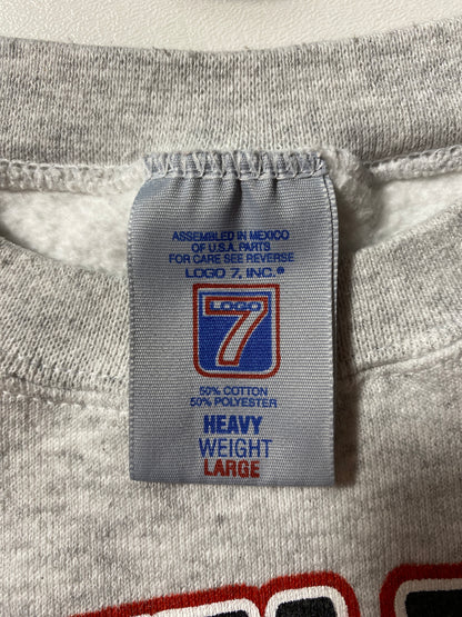 1999 ATLANTA FALCONS Size L Vintage NFL Sweat-Shirt / F6715S