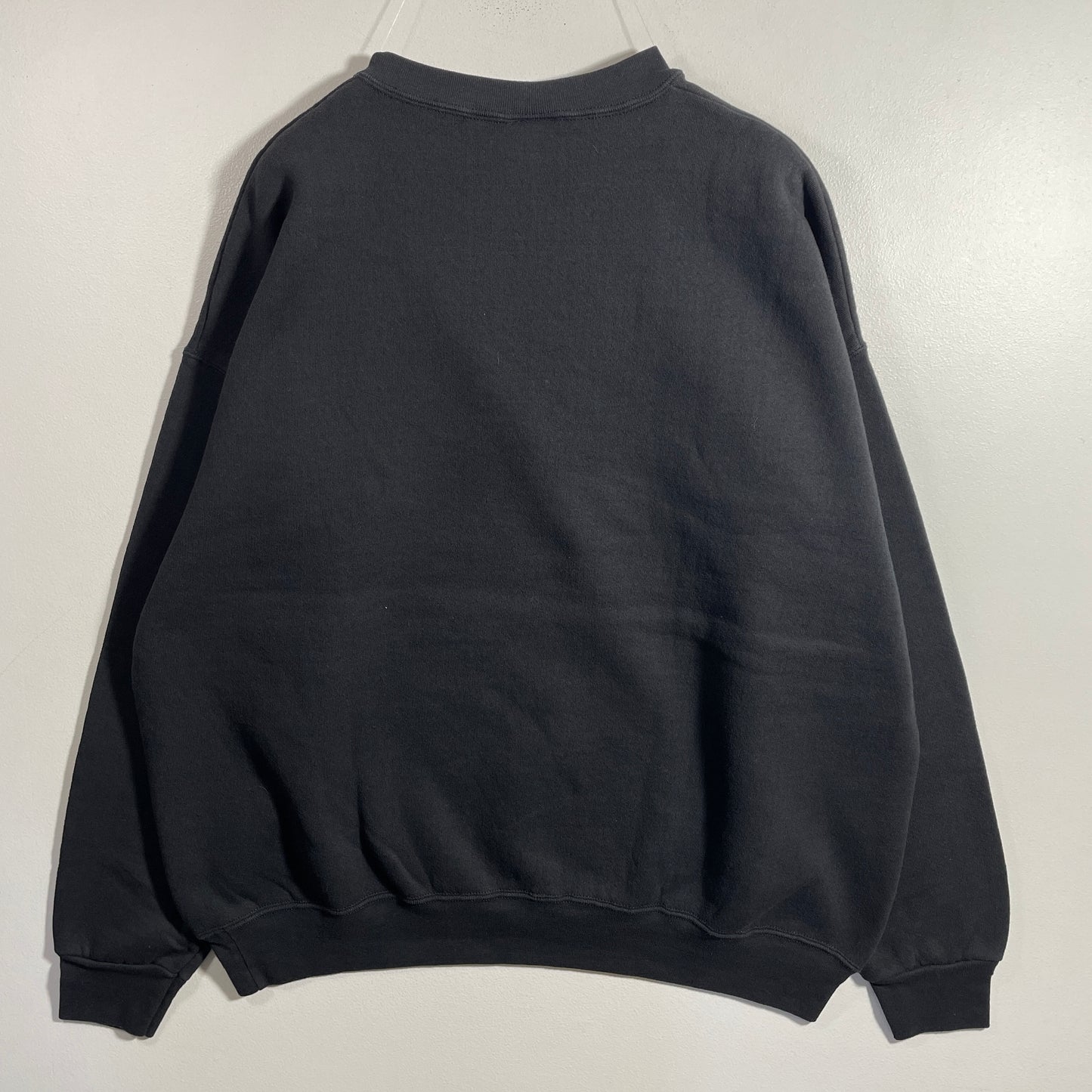 (XL) 00' CAROLINA PANTHERS Vintage NFL Sweatshirt / A1136S