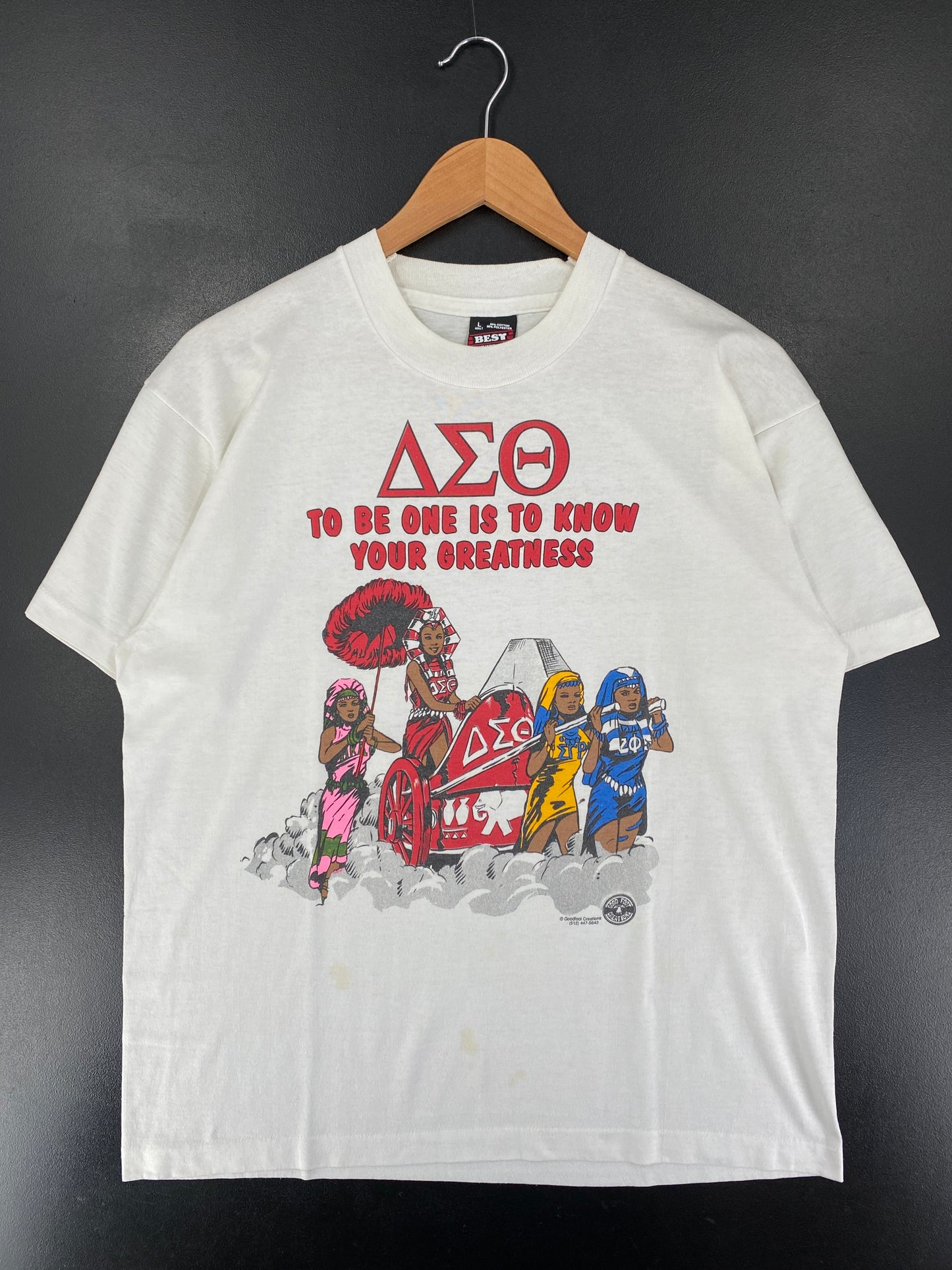 90's DELTA SIGMA THETA Made in USA Size L Vintage T-Shirt / G334T