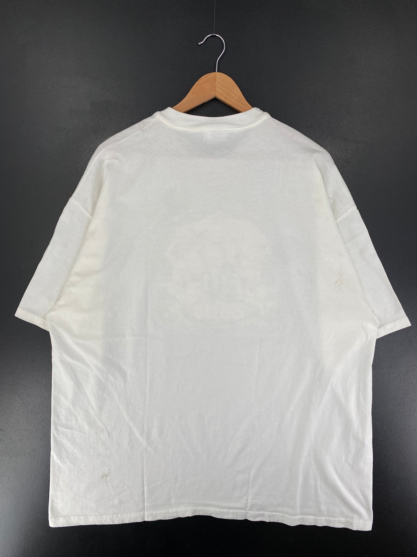 2000 WALT DISNET WORLD ANIMAL KINGDOM Size XL Vintage T-Shirt / G718T