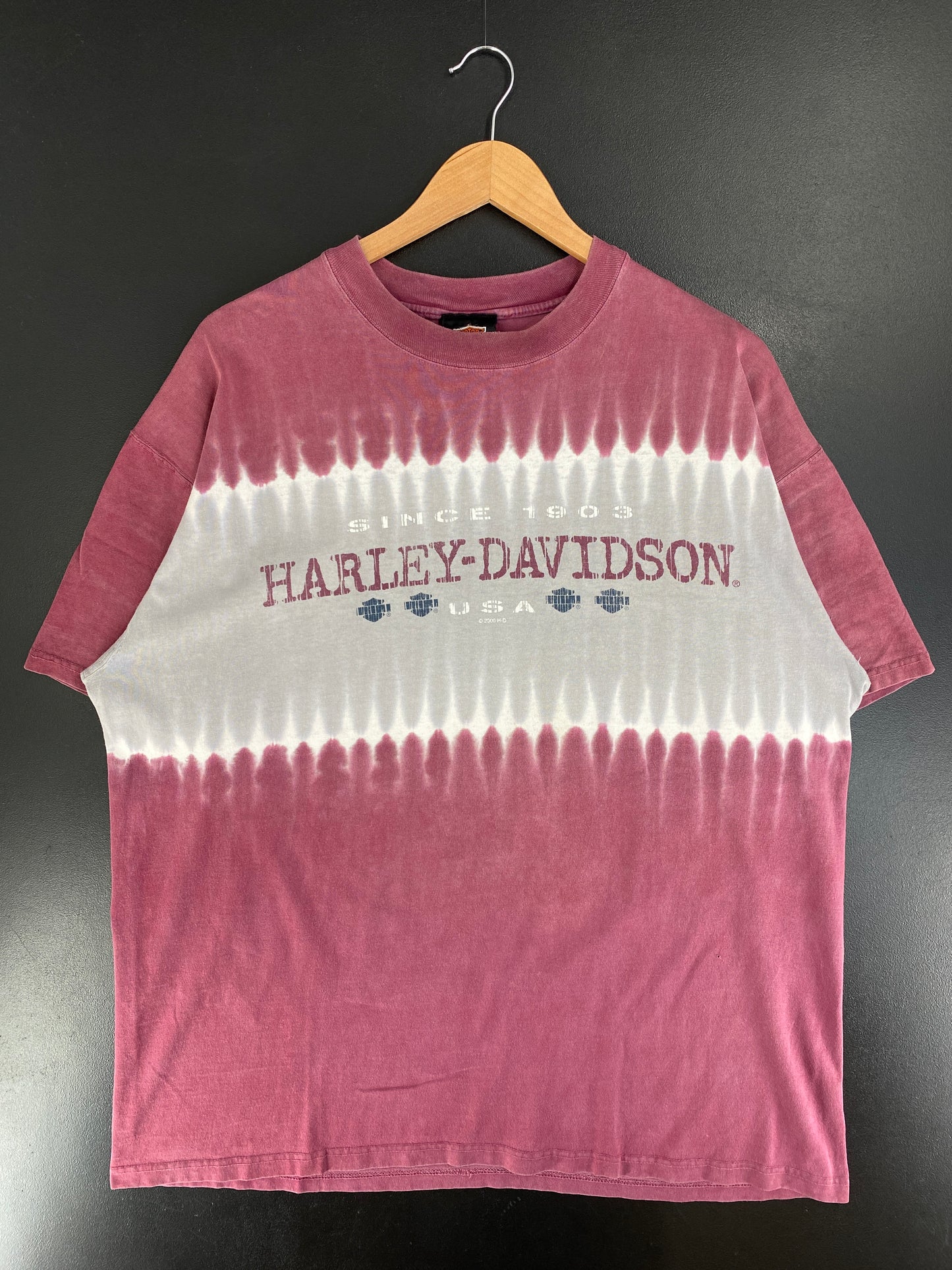 2000 HARLEY DAVIDSON Size L Vintage T-Shirt / G1184T