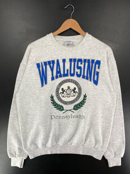 90's PENNSYLVANIA WYALUSING Made in USA Size L Vintage College Sweat-Shirts / G5967S