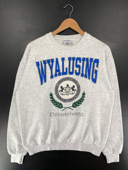 90's PENNSYLVANIA WYALUSING Made in USA Size L Vintage College Sweat-Shirts / G5967S