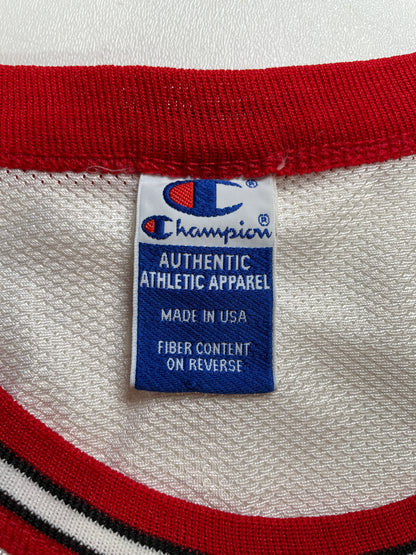 90’s Champion x CHICAGO BULLS 33 PIPPEN Made in USA Size 48(XXXXL) Vintage NBA Jersey / F2005T