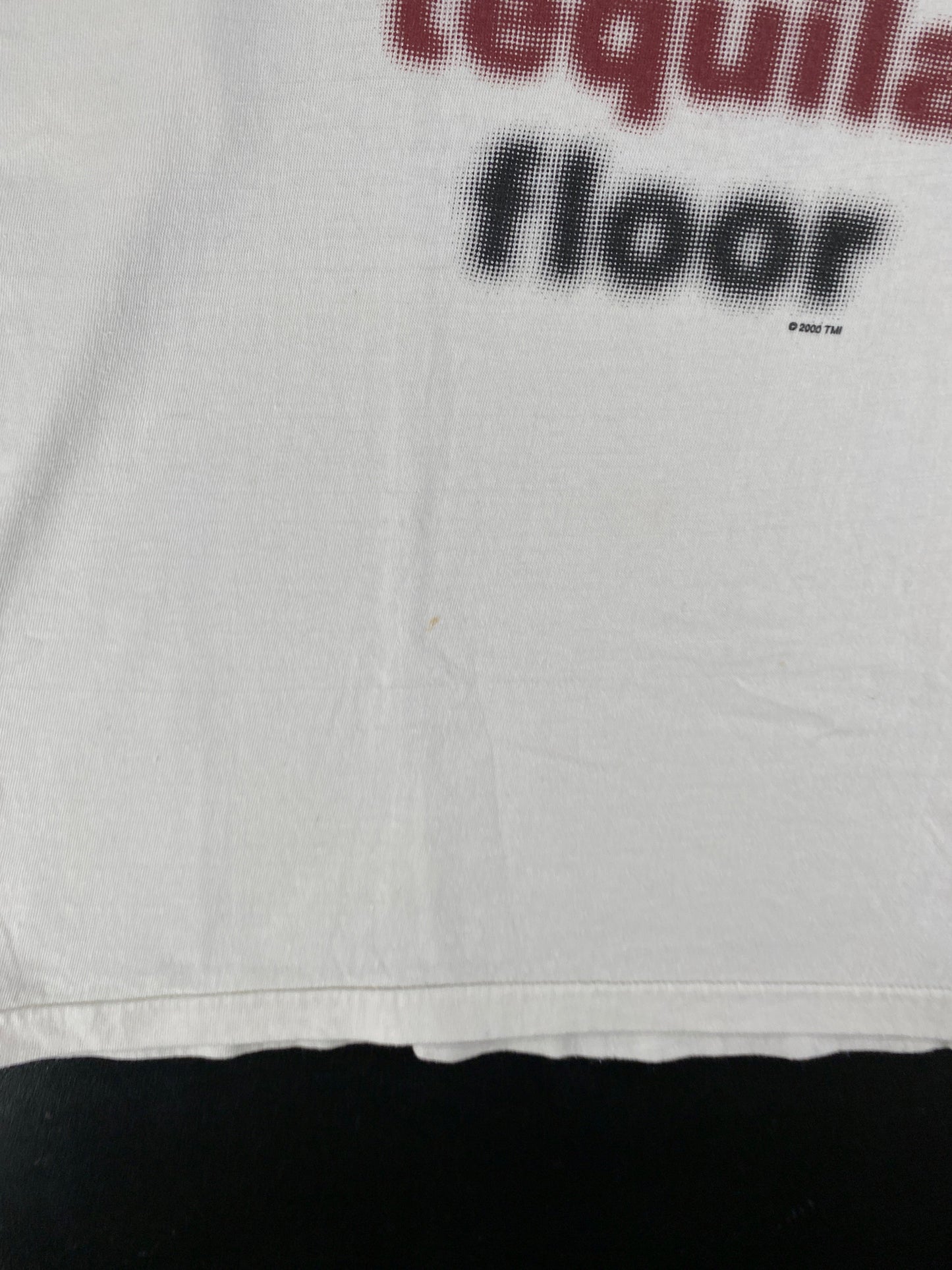 2000 TEQUILA Size XL Vintage T-Shirt / F1649T