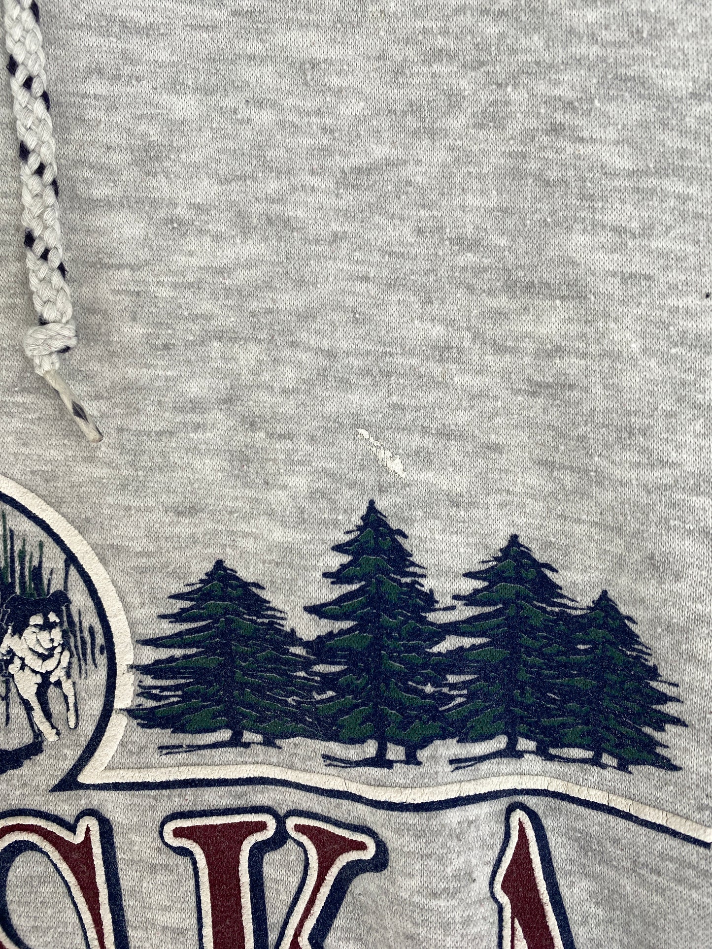 00’ ALASKA WILDERNESS Size L Sweat-shirt / G6403S