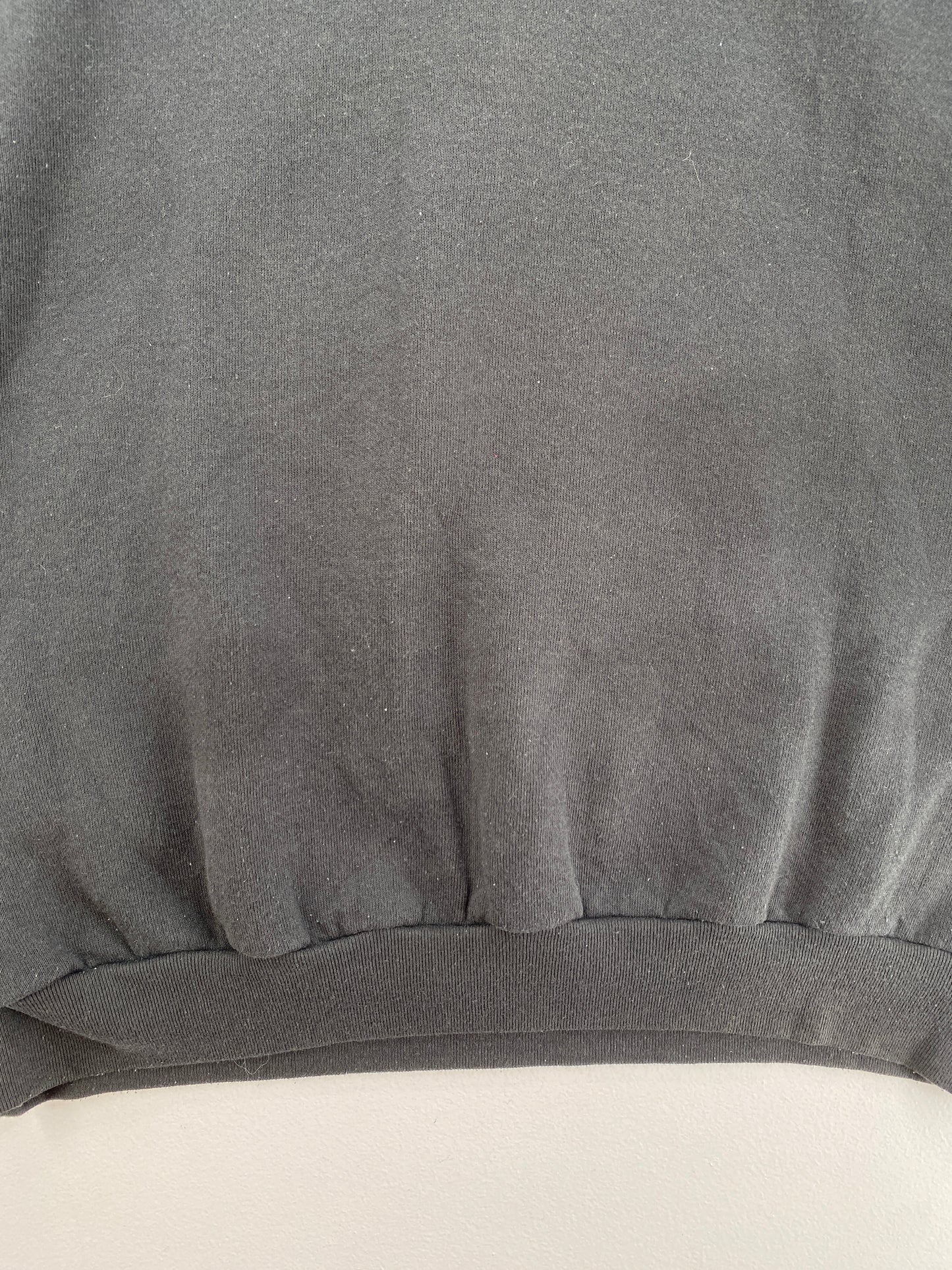 90’s CAROLINA PANTHERS Made in USA Size XL Vintage NFL Sweat-Shirt / G6561S