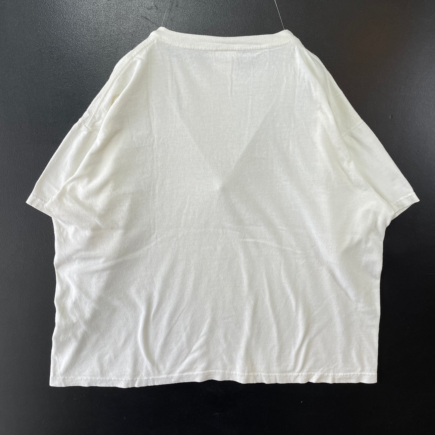 (L) 90’s NIKE T-shirt / A0154T