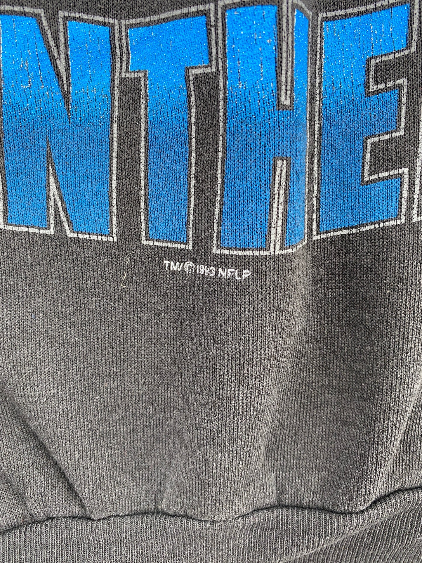 1993 STARTER x CAROLINA PANTHERS Made in USA Size XL Vintage NFL Sweat-Shirt / G6566S