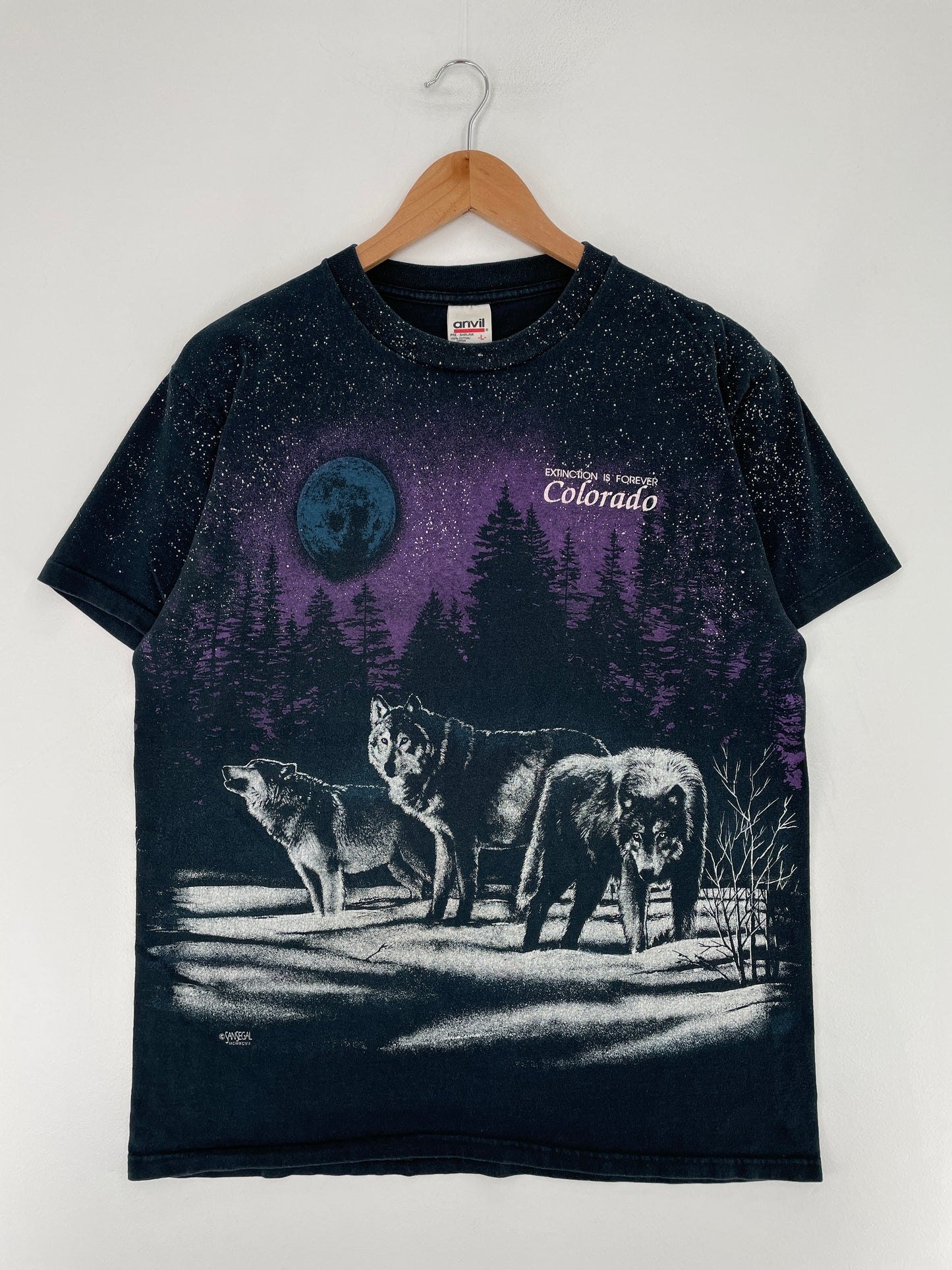 90's COLORADO WOLVES Size L Vintage T-Shirt / E7278T