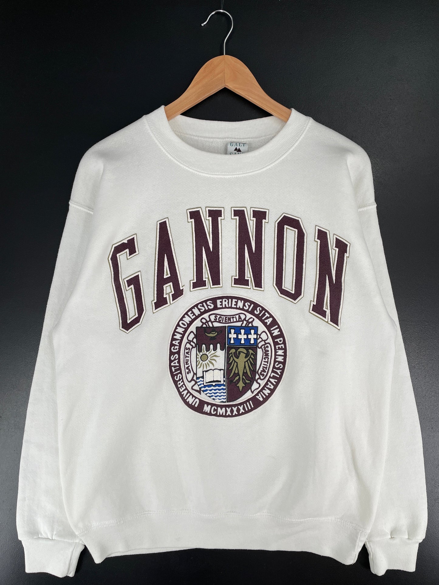 90's PENNSYLVANIA GANNON Made in USA Size L Vintage College Sweat-Shirt / G4472S
