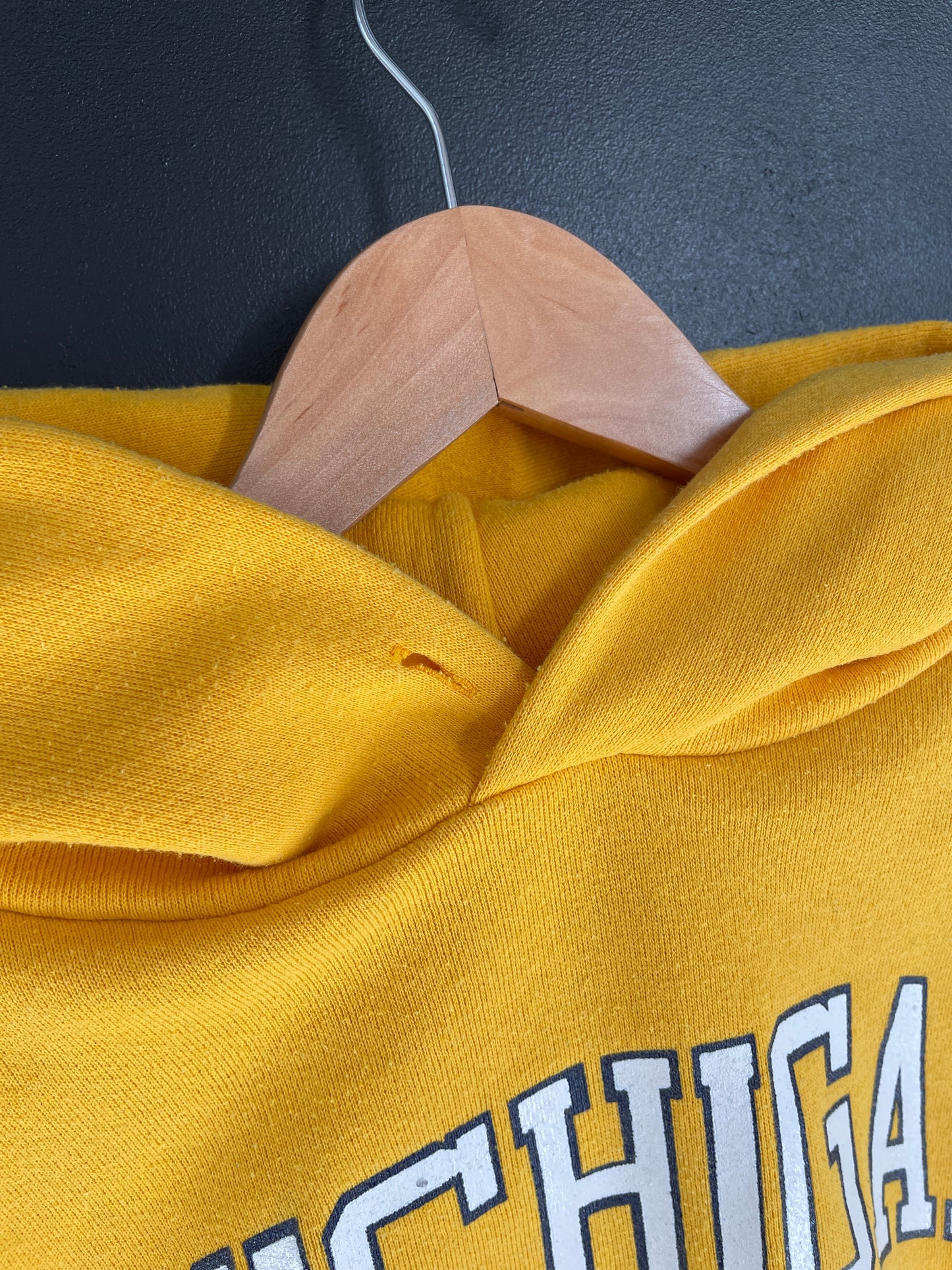 90's RUSSELL x MICHIGAN Size L Vintage College Hoodie Sweat-Shirt / E7094S