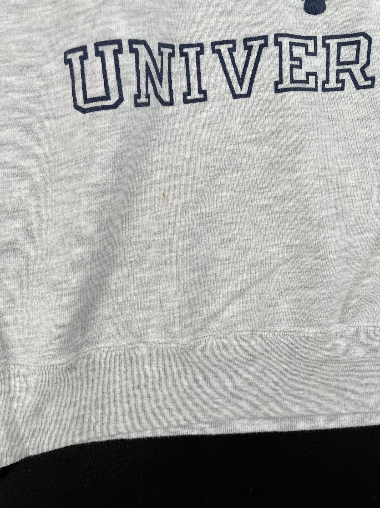 90's CHAMPION x COLOMBIA UNIVERSITY Made in USA Size XL Vintage College Sweat-Shirt / F3899S