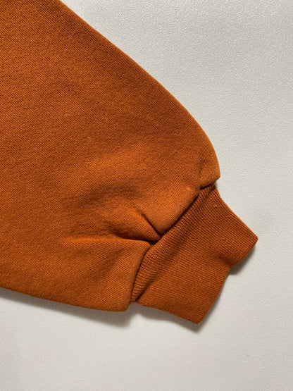 Vintage TEXAS Size L Vintage College Hoodie Sweat-shirt / F490S