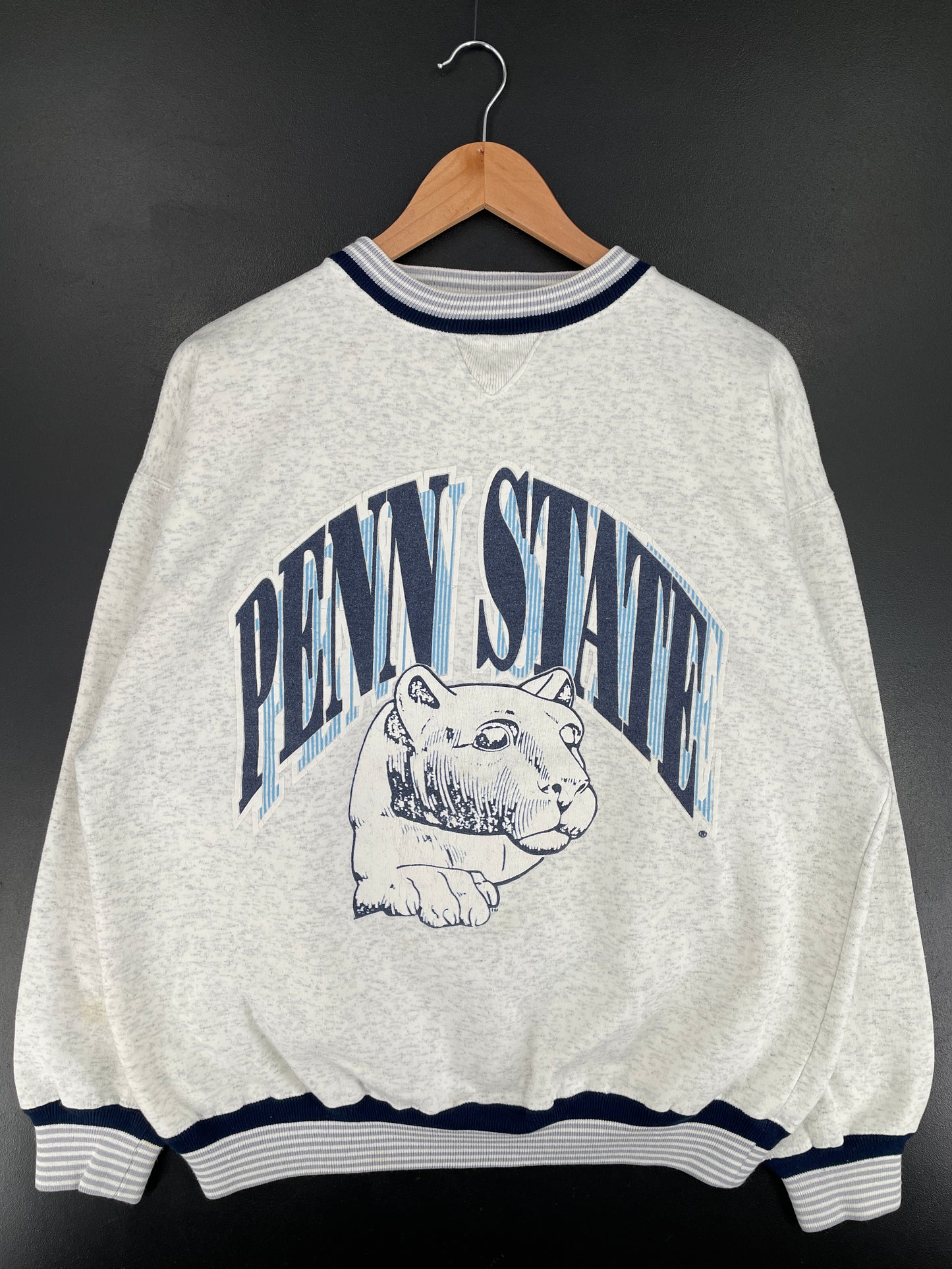 90’s PENN STATE Size XL Vintage College Sweat shirt / E8414S